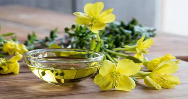 Primrose takviye ne işe yarar?